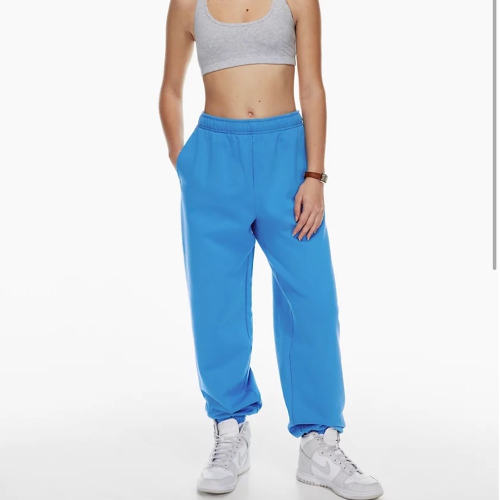 TNA Aritzia sweatpants